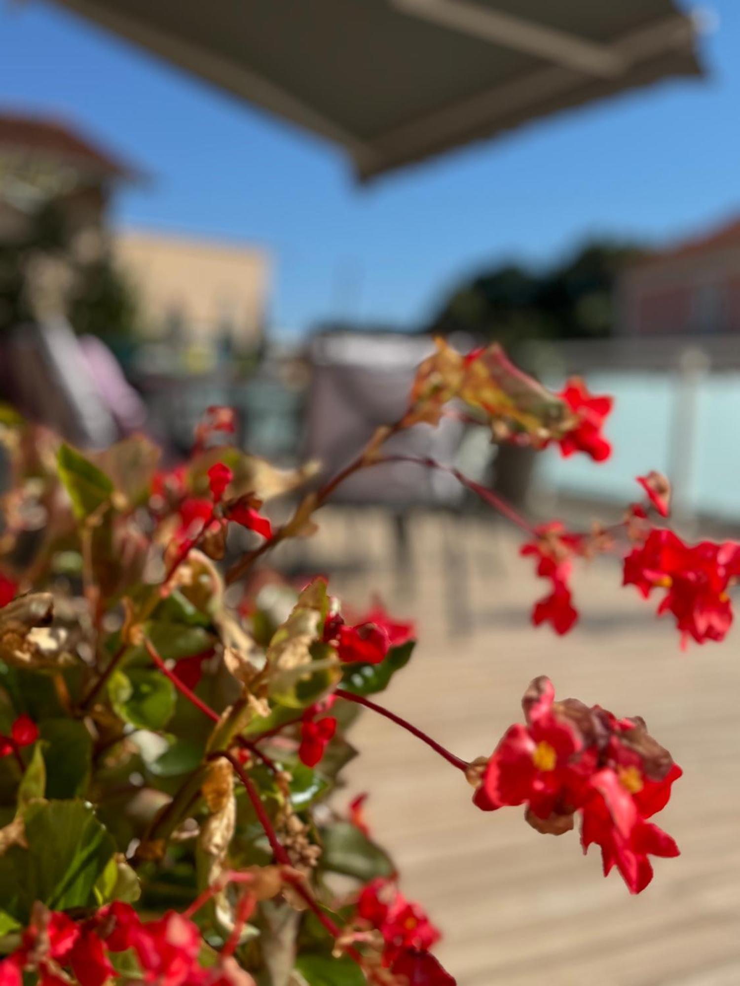 Comfortable Apartment Near Opatija Matulji Εξωτερικό φωτογραφία